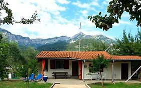 Olive Summer House
